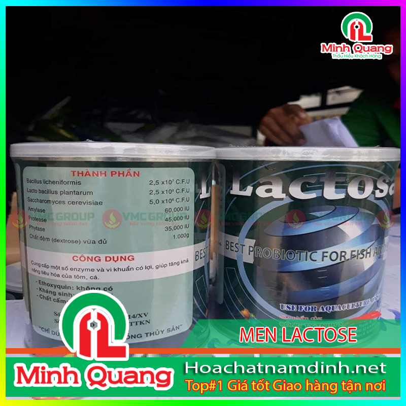 MEN TRỘN HỖ TRỢ ĐƯỜNG RUỘT LACTOSE